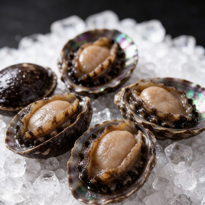 Frozen Abalone