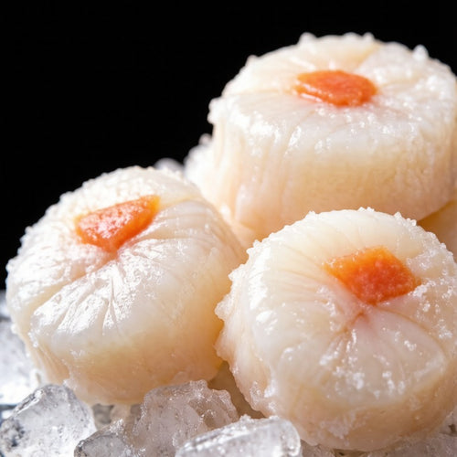 Frozen Scallop Meat
